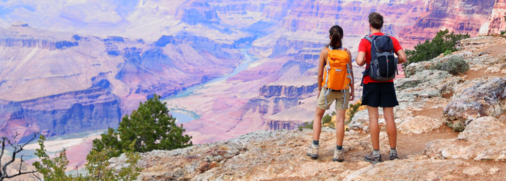 All Tests and Panels